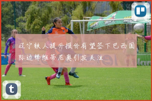 辽宁铁人提升报价有望签下巴西国际边锋维蒂尼奥引发关注