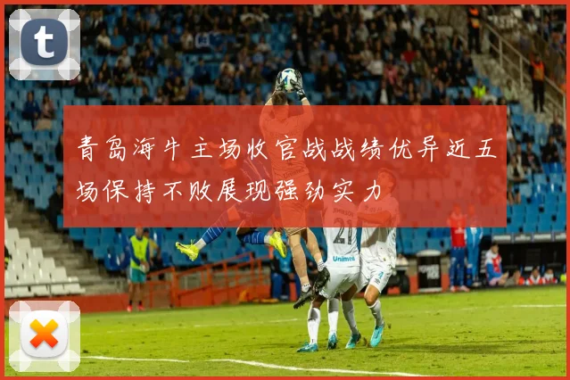 青岛海牛主场收官战战绩优异近五场保持不败展现强劲实力