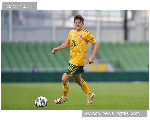 特里盛赞帕尔默复出首发称其为最佳10号位球员